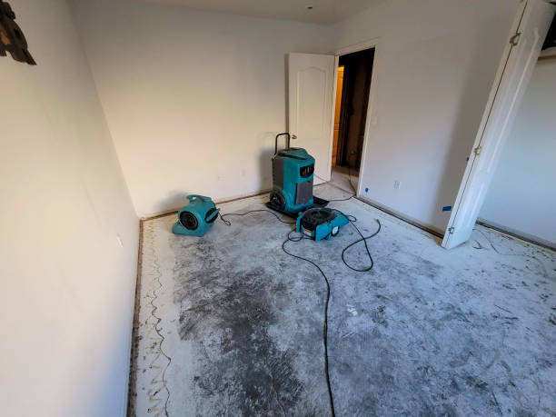 Best Residential water damage restoration  in Henderson, KY