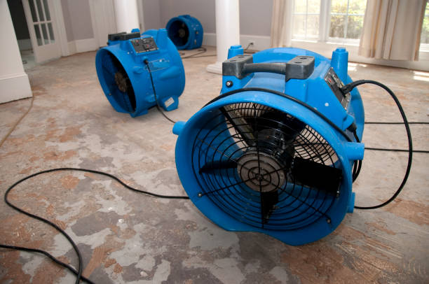  Henderson, KY Water damage restoration Pros