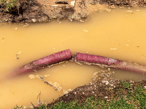 Best Water damage restoration near me  in Henderson, KY